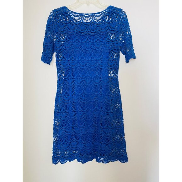 Blue Lace XS Dress With Slip - Picture 6 of 10